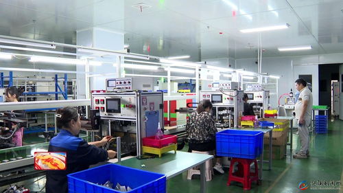 聚焦新质生产力 赋能工业经济高质量发展