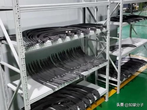 肇庆高新区 制造业发展赋能建设 运动之城