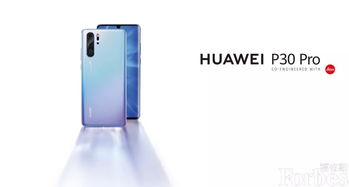 2019中国品牌建设发展趋势 专栏