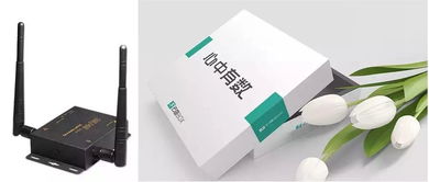 新品亮相 新一代大数据产品云图box正式发布